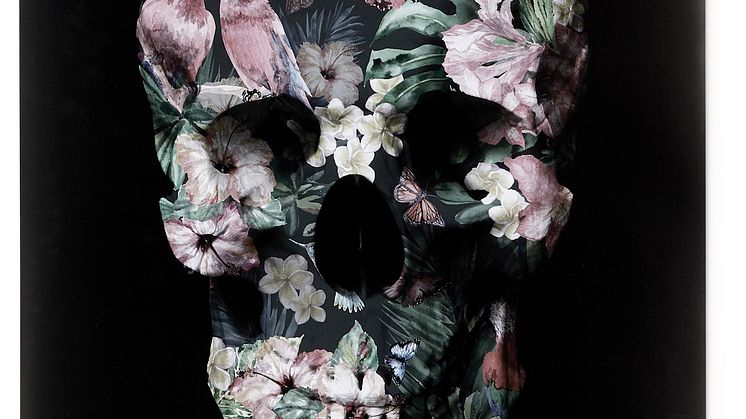 Tropical Scull