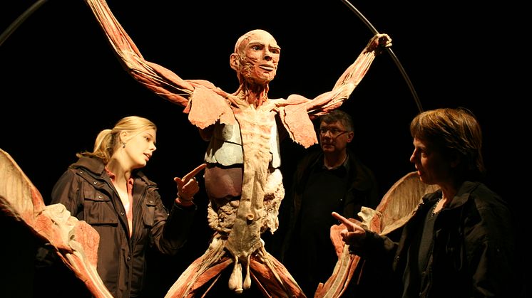 Världens bästa anatomilektion
