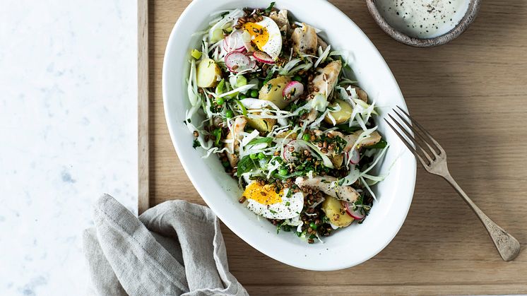 Salat med kylling, kartofler og fuldkornsknas