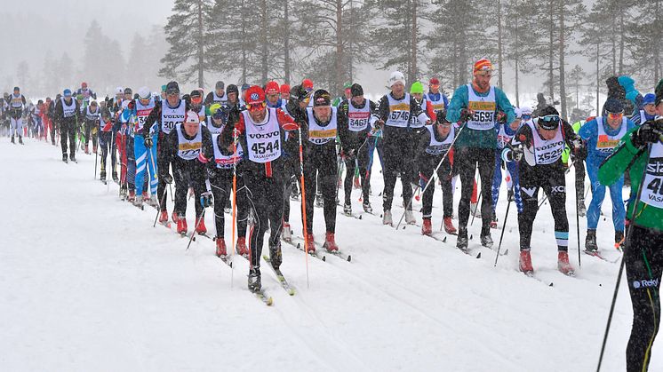 Vasaloppet 2019-Myrar-653