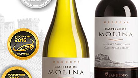 VUODEN VIINI 2016 ON CASTILLO DE MOLINA RESERVA SAUVIGNON BLANC 2015 