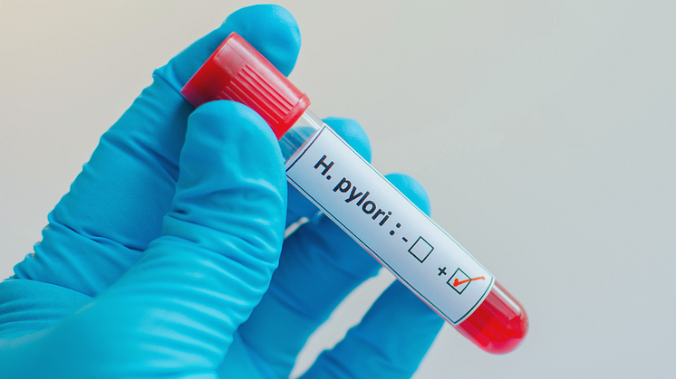 Vor 40 Jahren entdeckt und immer noch weit verbreitet: der Magenkeim Helicobacter pylori