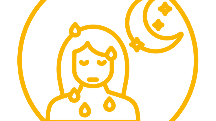 Icon Hitzewallungen und Schlafstörungen.png