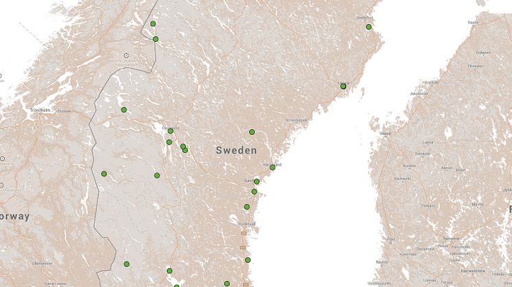 Rekordstort antal bryggerier i Sverige