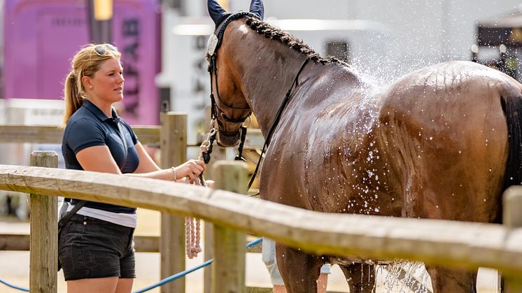Häst Falsterbo Horse Show