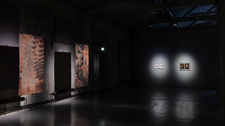 Installationsvy Beckers konstnärsstipendium 2021 – Youngjae Lih, Färgfabriken