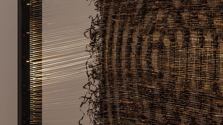 Honey Biba Beckerlee, Swarming / Swimming, 2022