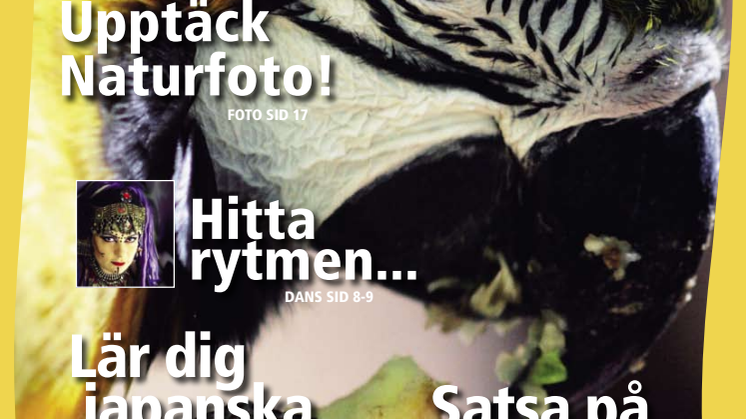 Studiefrämjandets kursprogram våren 2009