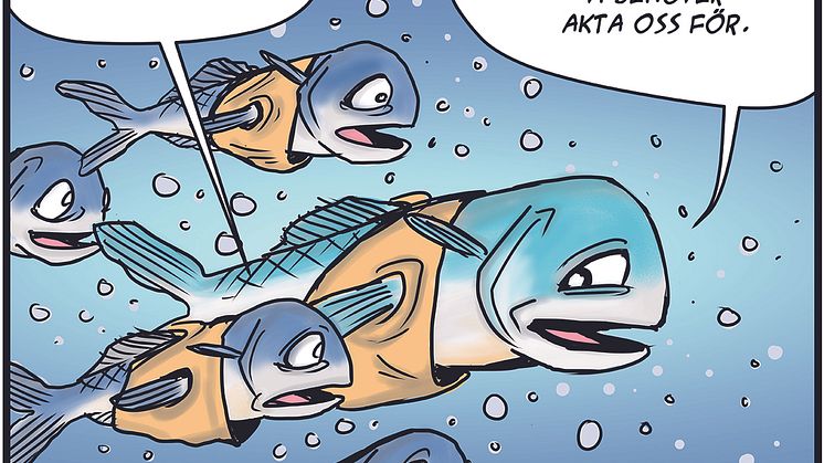 Hej Fisk! - fiskemetoder