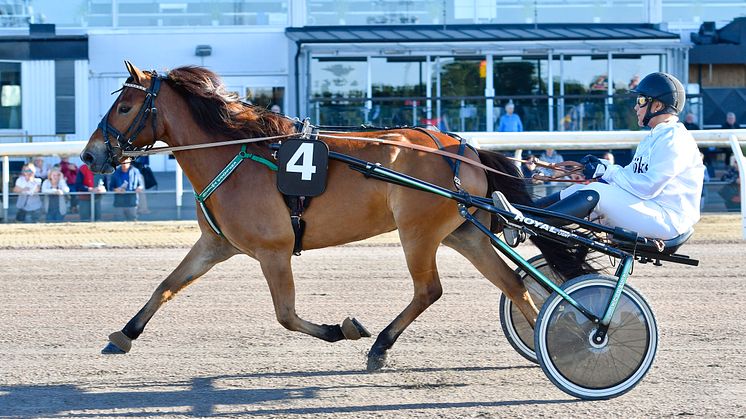 Hästarnas Mästare på Jägersro
