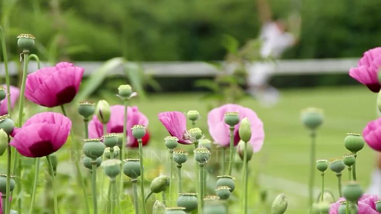 Stoke Park 2016