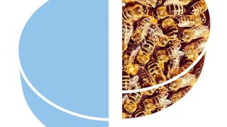 Sverige saknar hälften av de bin som behövs för att pollinera våra grödor och vår natur.