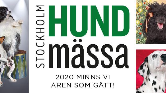 Stockholm Hundmässa 2020 – vi minns åren som gått