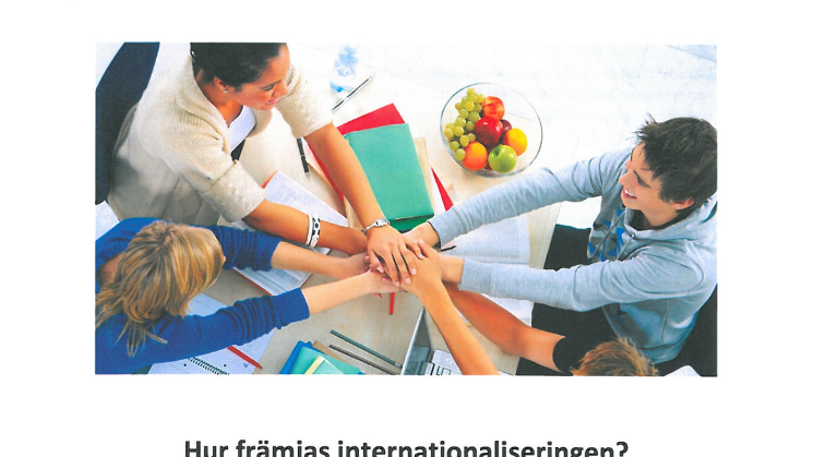 Rapport: Hur främjas internationaliseringen?