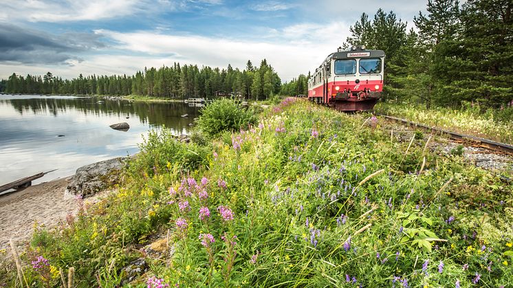 Inlandsbanan erbjuder tågresor sommar och vinter. Vi har flera spännande paket för dig som vill ha det enkelt och bekvämt. 