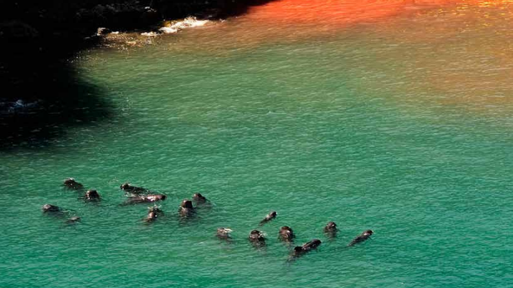 Taiji Report.pdf
