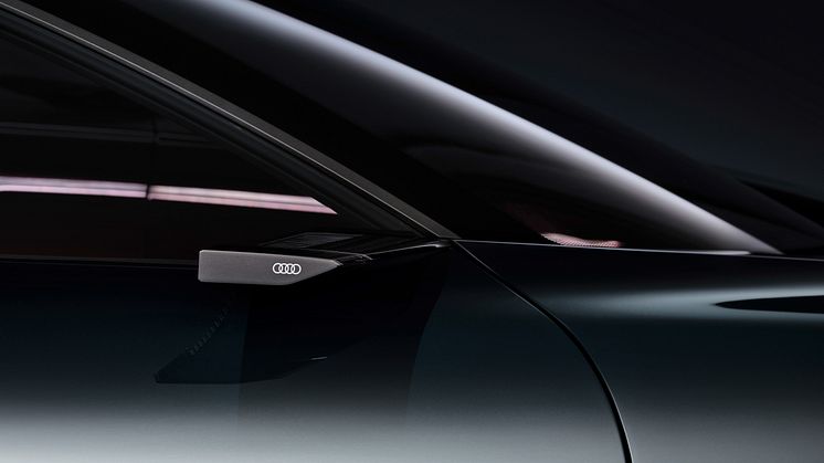 Audi activesphere concept - detalje