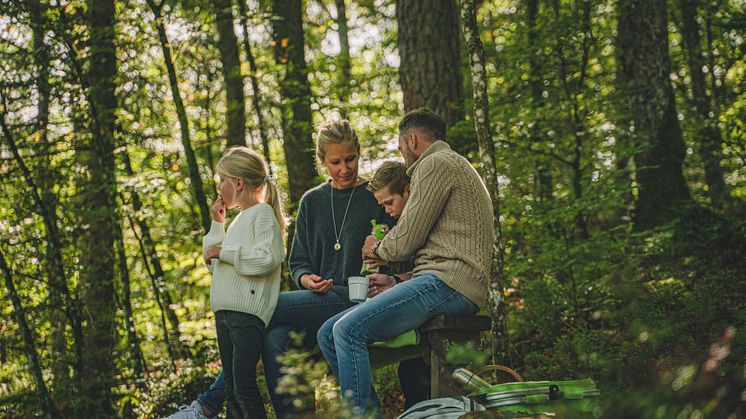 I naturreservatet Danska fall kan du njuta av en picknick med familj eller vänner. Foto: Per Nilsson.