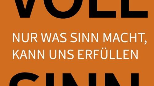 VOLL SINN - Nur was Sinn macht, kann uns erfüllen