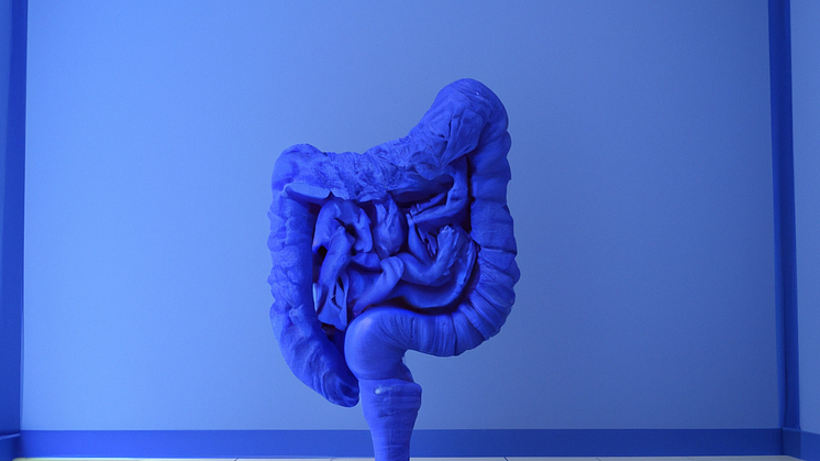 Ein Darm in einem blauen Raum. Created by AI