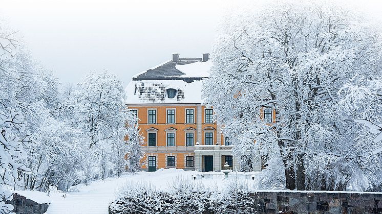 Nynäs slott.