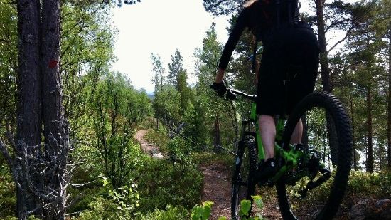 Konfrens i Åre 1