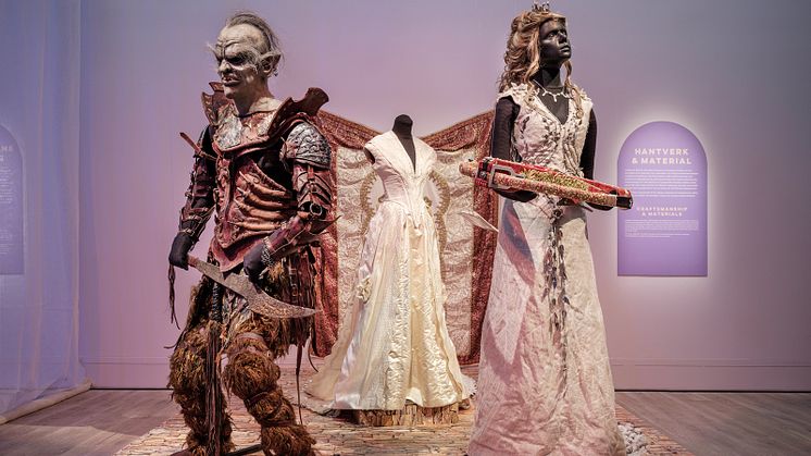 Cosplay Chronicles Sörmlands museum