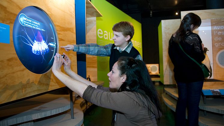 En djupdykning på Naturhistoriska riksmuseet