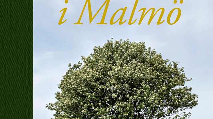 Ny bok om träd i Malmö