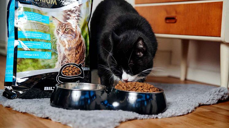 Kattmat