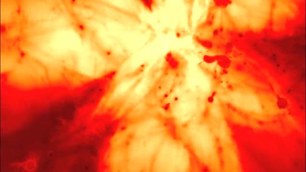 Filmklipp: Datorsimulering som visar universums återjonisering. 