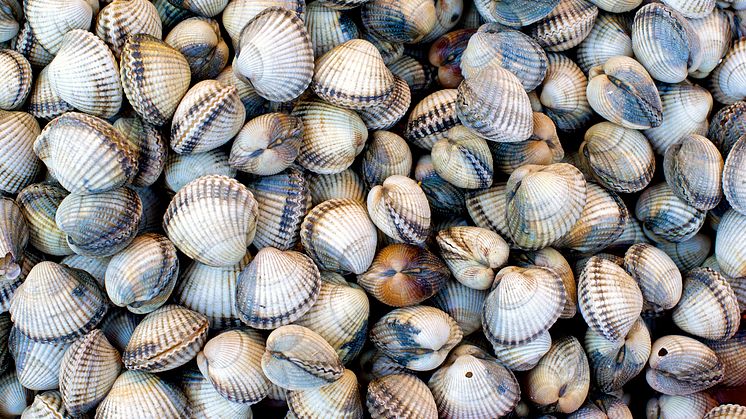 RS12388_iStock-480365117.jpg