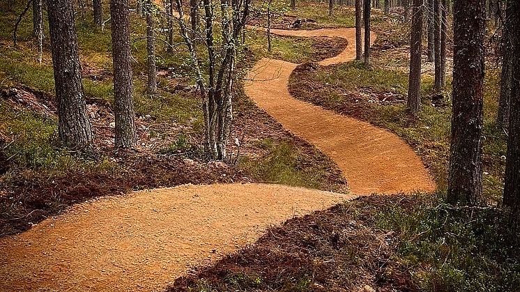 MTB_IdreFjall_fotoIdreFjall
