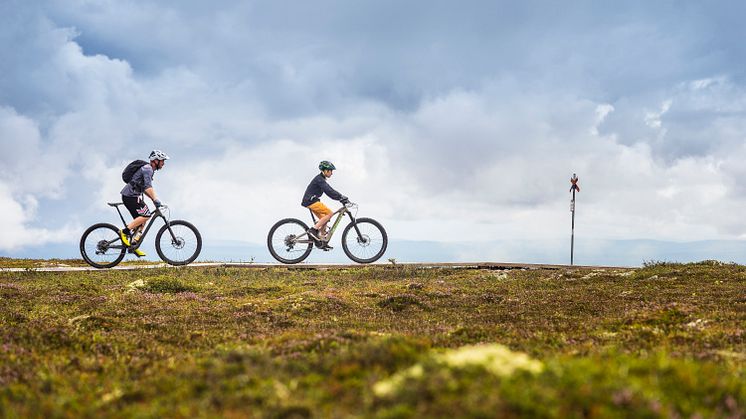 5 ställen för grym höstcykling