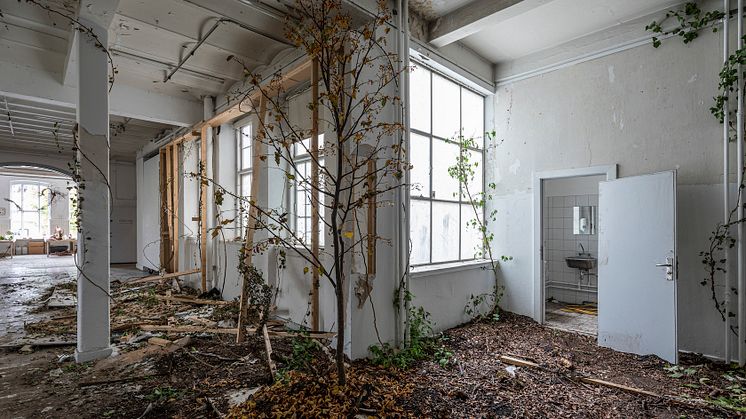 Foto fra udstillingen 'Stien eller tid imellem træer' på Overgaden af kunstneren Rune Bosse, som modtog bevilling ved seneste ansøgningsrunde i maj 2019. Fotograf: Anders Sune Berg.