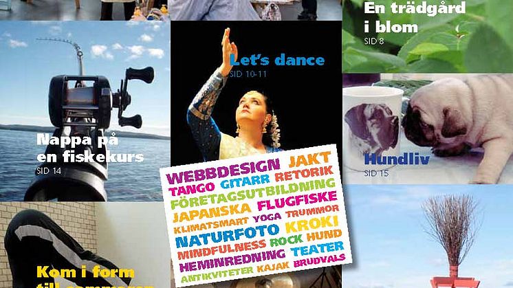 Studiefrämjandets vår- och sommarprogram 2011 - Vårens kurstrend – dans, dans och åter dans