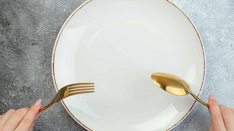 Seminariebild-varfor-dyker-vego-plate-14224446