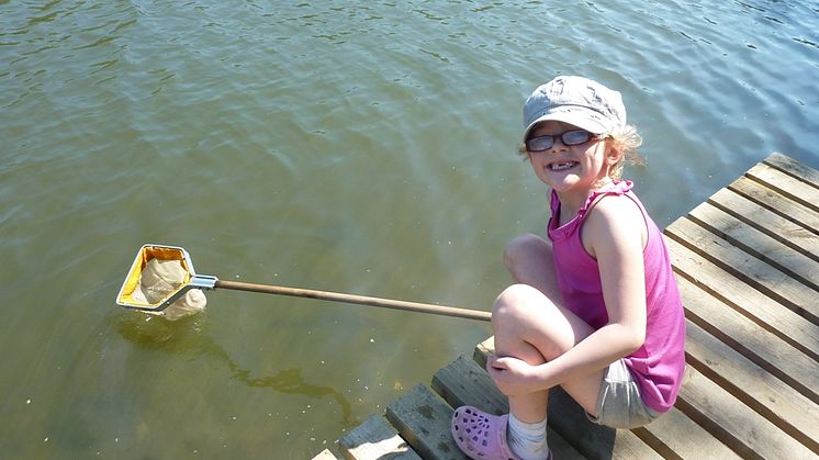 Pond Dipping at Redbank Lodges