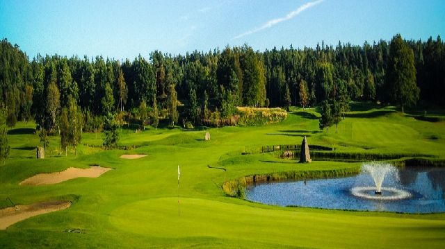 Golfhäftet Trophy på Sjögärde GK