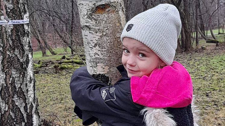 Trädmassaker planeras i prisbelönt park