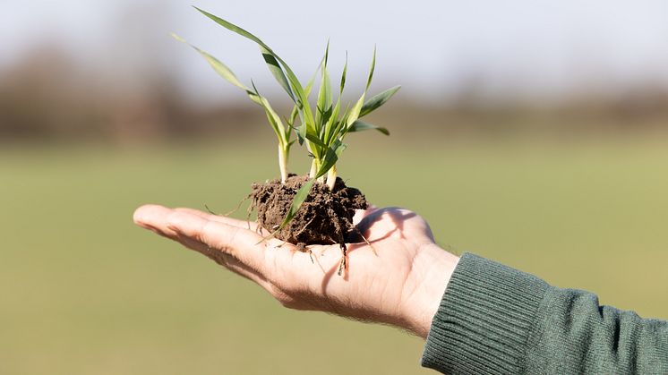 Danish Agro overskudsdeklarerer 43 mio. kr. til medlemmerne