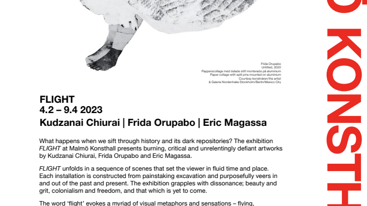 Curatorial statement FLIGHT