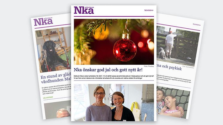 Nyhetsbrev nr 11 från Nka