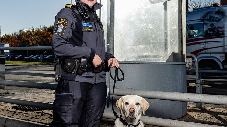 Årets Narkotikasökhund Max med förare Frida Hessbo. Foto André de Loisted