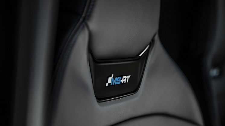 RANGER_MS-RT_17