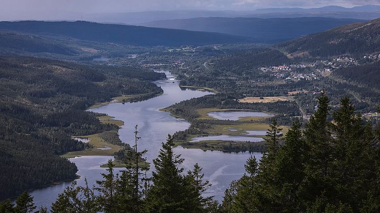 Vy från Totthummeln