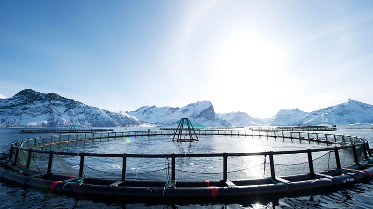 Responsible aquaculture represents major opportunities to food security and healthy diets