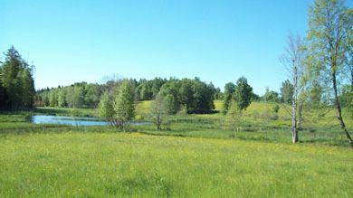 Invigning av naturreservatet Ramshytte ängar - Örebros nyaste naturreservat