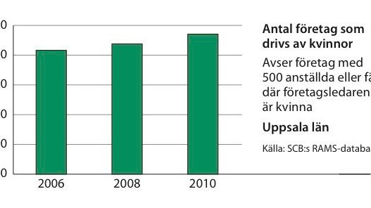 Kvinnors företagande ökar i Uppsala län