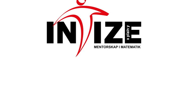 Intize – statistik och verksamhetsutveckling